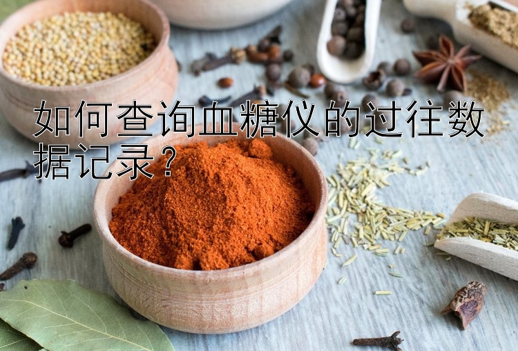 如何查询血糖仪的过往数据记录？