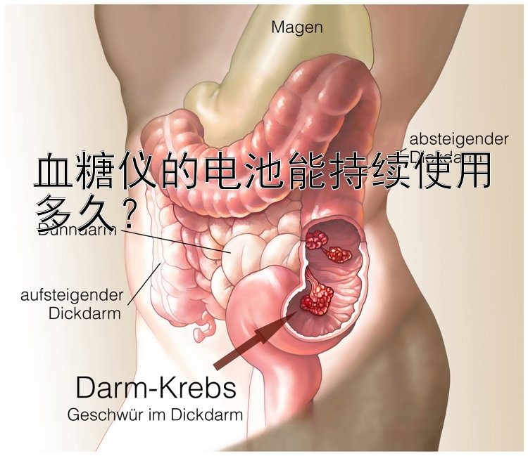 血糖仪的电池能持续使用多久？